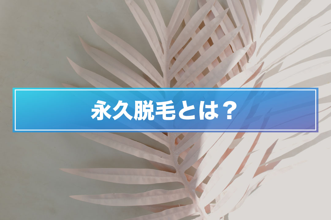 あなたは永久脱毛をしっかり理解されていますか？